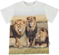 Road T-shirts & Tops